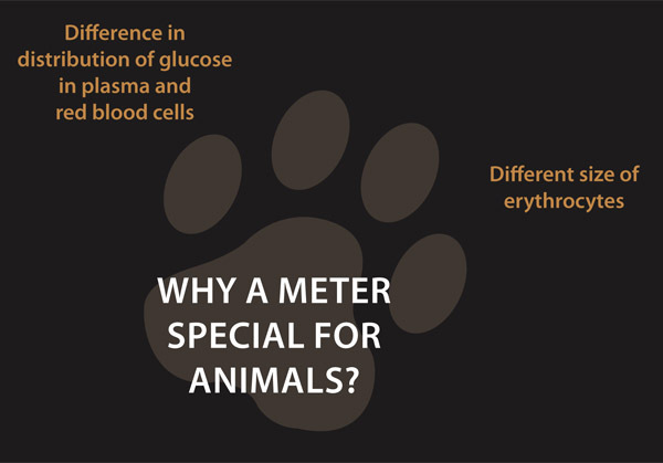why a meter for animals?:  (© )