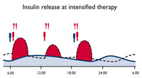 Insulin release at intensified therapy:  (© )